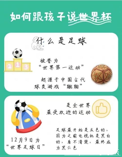 探索世界杯平台入口：解锁无限精彩体验